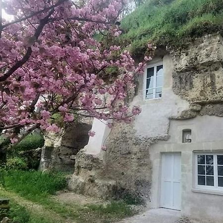 Troglo Entre Caves Et Chateaux มงต์ลุยส์-ซูร์-ลัวร์ ภายนอก รูปภาพ