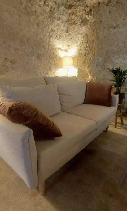 Troglo Entre Caves Et Chateaux มงต์ลุยส์-ซูร์-ลัวร์ ภายนอก รูปภาพ