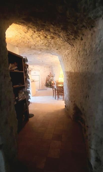 Troglo Entre Caves Et Chateaux มงต์ลุยส์-ซูร์-ลัวร์ ภายนอก รูปภาพ