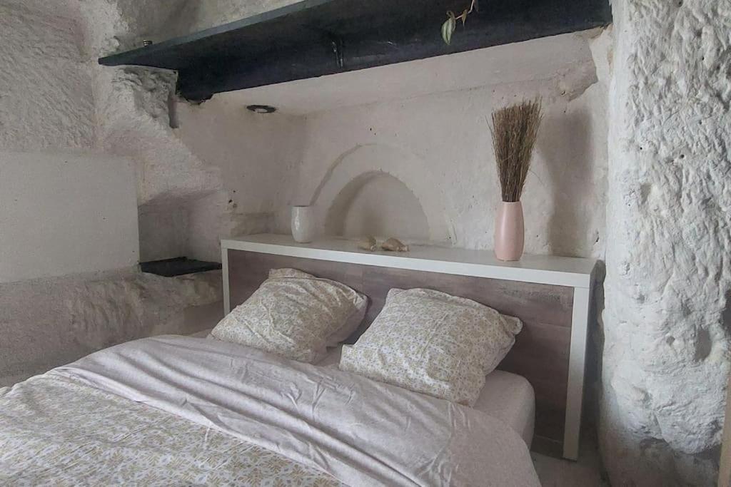 Troglo Entre Caves Et Chateaux มงต์ลุยส์-ซูร์-ลัวร์ ภายนอก รูปภาพ