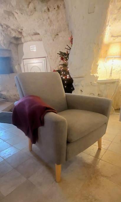 Troglo Entre Caves Et Chateaux มงต์ลุยส์-ซูร์-ลัวร์ ภายนอก รูปภาพ