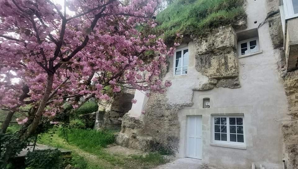 Troglo Entre Caves Et Chateaux มงต์ลุยส์-ซูร์-ลัวร์ ภายนอก รูปภาพ